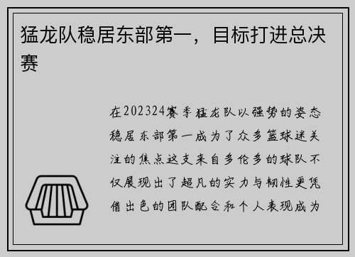 猛龙队稳居东部第一，目标打进总决赛